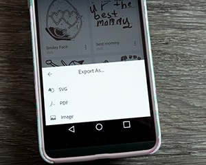 Showing people a screenshot of the second few steps to export