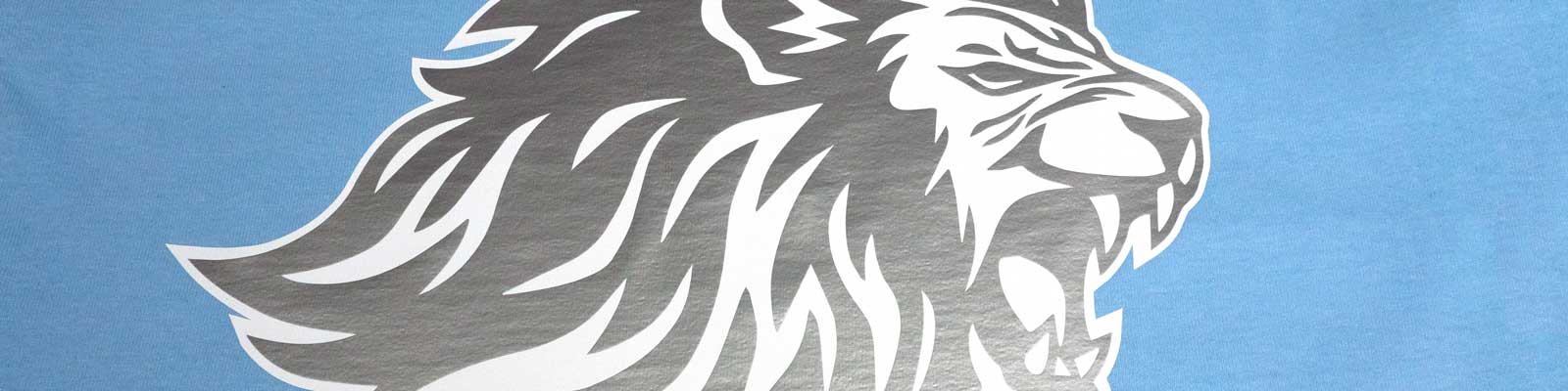Read more about the article Sports Plus – HTV Color Matches